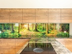 Glasrückwand mit Wunschmotiv «Waldlichtung»